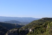 IMG_2893.JPG