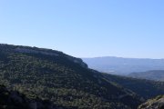 IMG_2894.JPG