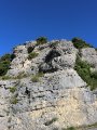IMG_2904.JPG