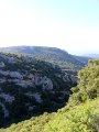 IMG_2905.JPG