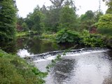 Mount Usher Garden 3.jpg
