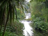 Mount Usher Garden 5.jpg