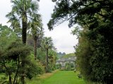 Mount Usher Garden 6.jpg
