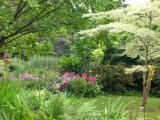Mount Usher Garden 8.jpg