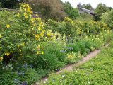 Rowallane Garden 2.jpg