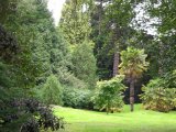 Rowallane Garden 7.jpg