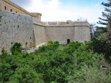 IMG_1253.JPG