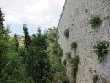 IMG_1287.JPG