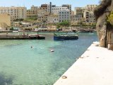 IMG_1101.JPG