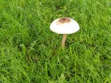 20160625_185630_HDR.jpg