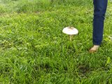 20160625_185718_HDR.jpg