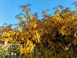 20151023_100448_HDR.jpg