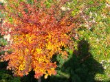 20151023_100510_HDR.jpg