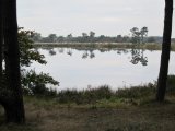 IMG_6483.JPG