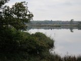 IMG_6488.JPG