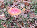 IMG_6495.JPG