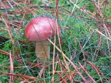 IMG_3740.JPG
