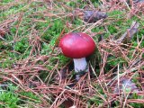 IMG_3744.JPG