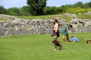 IMG_9688.JPG